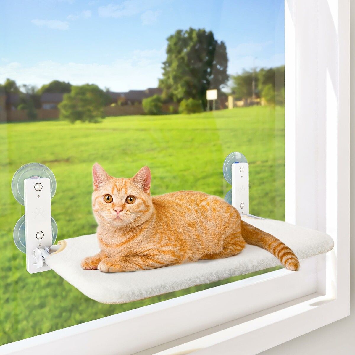 Cordless Cat Window Perch,Cat Hammock with 4 Suction Cups,Solid Metal Frame and Reversible Cover,Foldable Cat Beds for Indoor Cats (White,Medium)