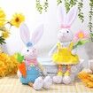 Easter Gnomes Decorations,Easter Bunny Gnomes Plush for The Home,Rabbit Gnomes Stuffed Doll Gifts for Tiered Tray Party Decor Home Table Decorations (2Pack)