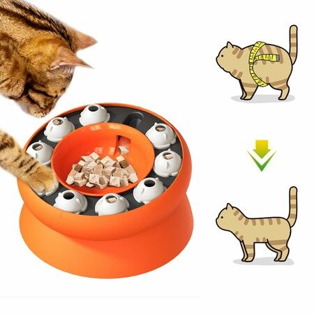 Cat Dish Food Bowl Dog Pet Bait Plate Drainage Reduces Burden Prevent Falls Weight Management