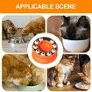 Cat Dish Food Bowl Dog Pet Bait Plate Drainage Reduces Burden Prevent Falls Weight Management
