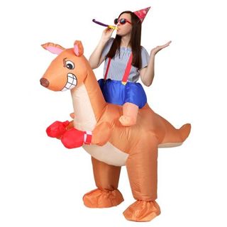 Fancy dress northern beaches deals