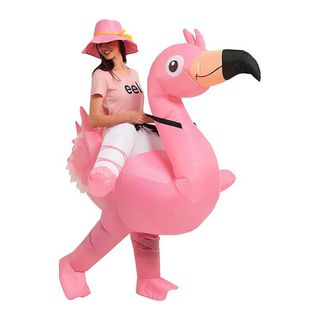 Shop Fancy Dress Northern Beaches Online Cheap Fancy Dress Northern Beaches for Sale at M.CrazySales
