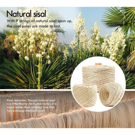 https://img.crazysales.com.au/products_pictures/3203/320378_3014224_F.jpg