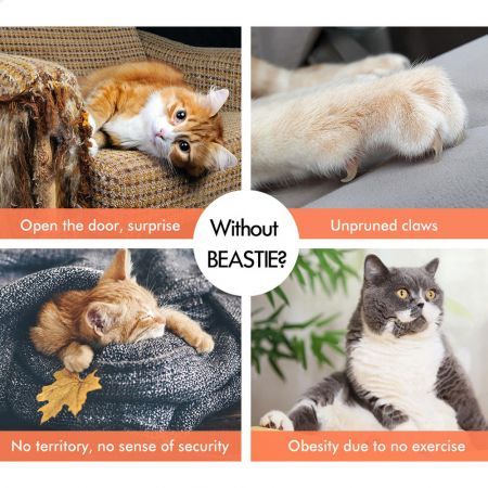 https://img.crazysales.com.au/products_pictures/3203/320381_3014180_F.jpg