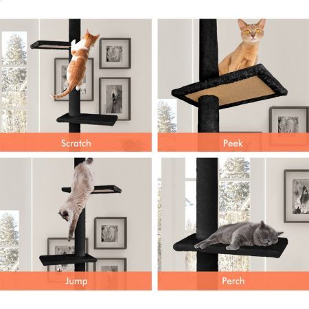 https://img.crazysales.com.au/products_pictures/3203/320382_3014084_F.jpg
