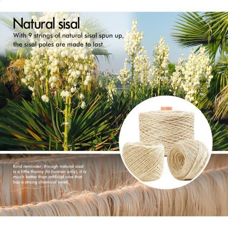 https://img.crazysales.com.au/products_pictures/3203/320383_3014022_F.jpg