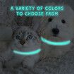 2pack 48cm Flea Collar Cats Anti Tick Collar 8 Months  Prevention Glow-in-the-Dark Insect Repellent Collar for Pets Small Dog Cat Kitten