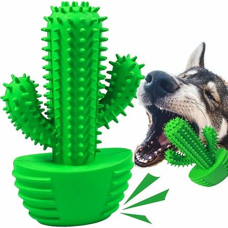 Dog Chew Toys Dog Toothbrush Stick Teeth Cleaning Brush Dental for Medium Large Dog, Puppy Interactive Toys