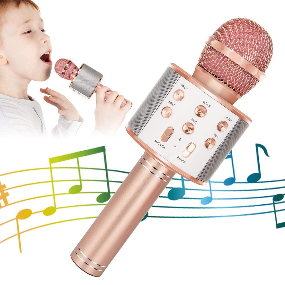 Wireless Bluetooth Kids Karaoke Microphone, 5 in 1 Portable Handheld Microphone with Adjustable Remix FM Radio for Boys Girls Birthday (Rose Gold)