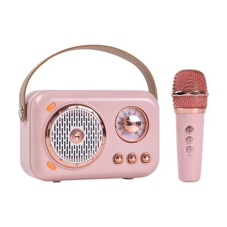 Portable Bluetooth Speaker with Microphone Set, Retro Speaker with Home Karaoke Machine(Pink)