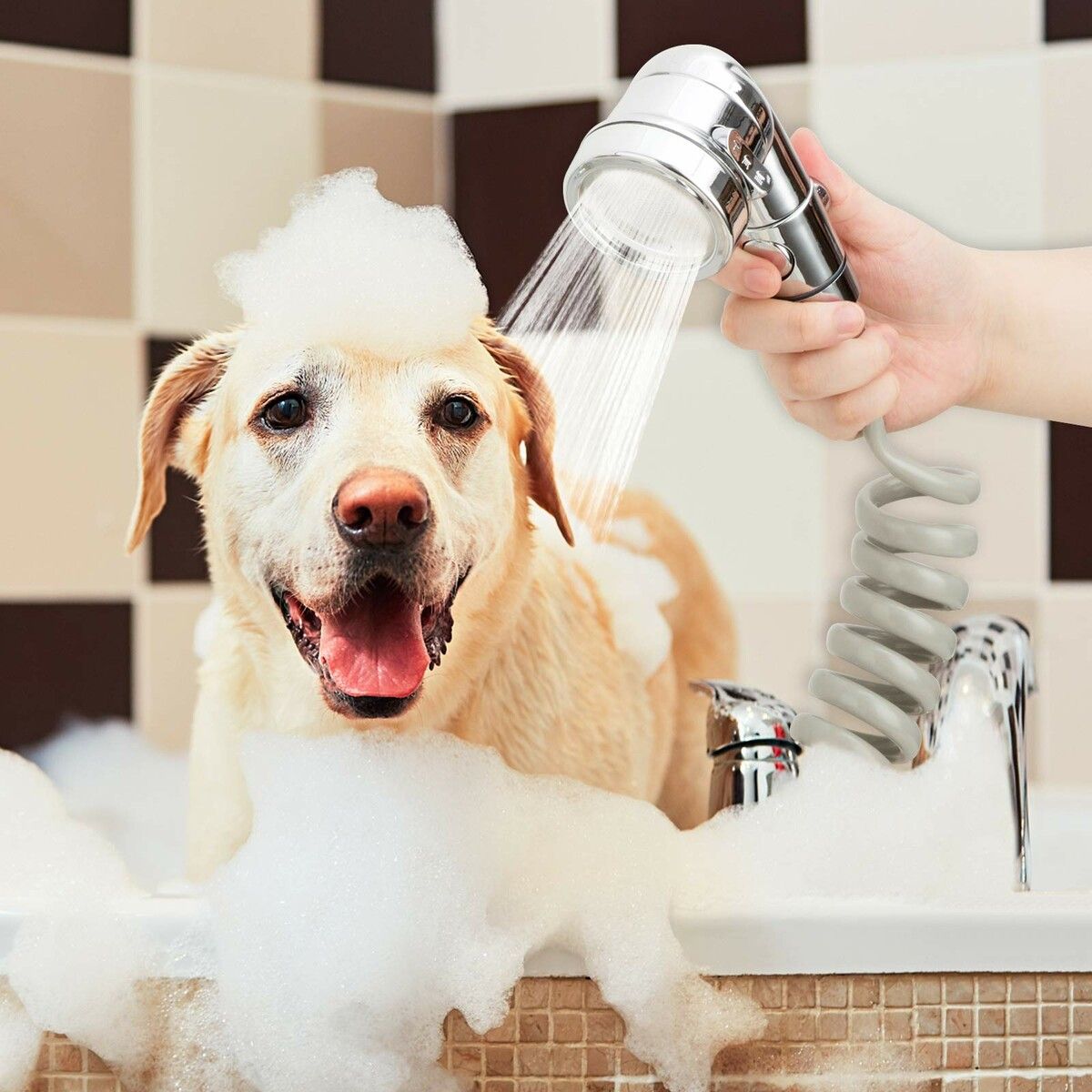 https://img.crazysales.com.au/products_pictures/321/321335_2799907_F.jpg