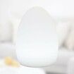 LED Colorful Egg Shaped Night Light USB Charging Desk Lamp Table Lamp for Home Outdoor Bar, 10x15cm