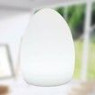 LED Colorful Egg Shaped Night Light USB Charging Desk Lamp Table Lamp for Home Outdoor Bar, 10x15cm