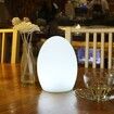 LED Colorful Egg Shaped Night Light USB Charging Desk Lamp Table Lamp for Home Outdoor Bar, 10x15cm