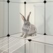 Small Animal Cage Transparent 142x74x93 cm PP and Steel