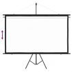 Projection Screen with Tripod 90" 16:9