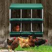 2 Layer 6 Hole Chicken Nesting Box Roll Away Hen Laying Boxes House Chook Nest Coop Perch Roost Poultry Egg Brooder Galvanised Metal Plastic Vents Lid