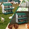 2 Layer 6 Hole Chicken Nesting Box Roll Away Hen Laying Boxes House Chook Nest Coop Perch Roost Poultry Egg Brooder Galvanised Metal Plastic Vents Lid