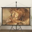Projection Screen 60&quot; 16:9