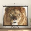 Projection Screen with Tripod 100&quot; 4:3