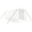 Greenhouse with Steel Frame White 12 m² 6x2x2 m
