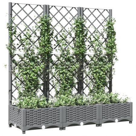 https://img.crazysales.com.au/products_pictures/3229/322946_2815626_F.jpg