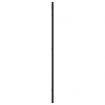 Wall Mirror Black 40x80 cm Rectangle Iron