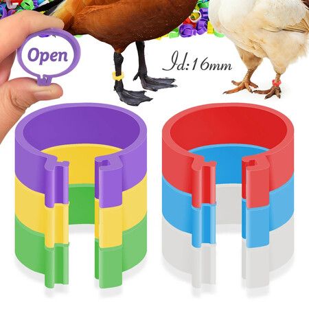 50pc 16mm Poultry Clasp Foot Ring Without Text Colourful Chicken Clip Animal Identification Tool Rings for Farm Leg Chick Duck Goose