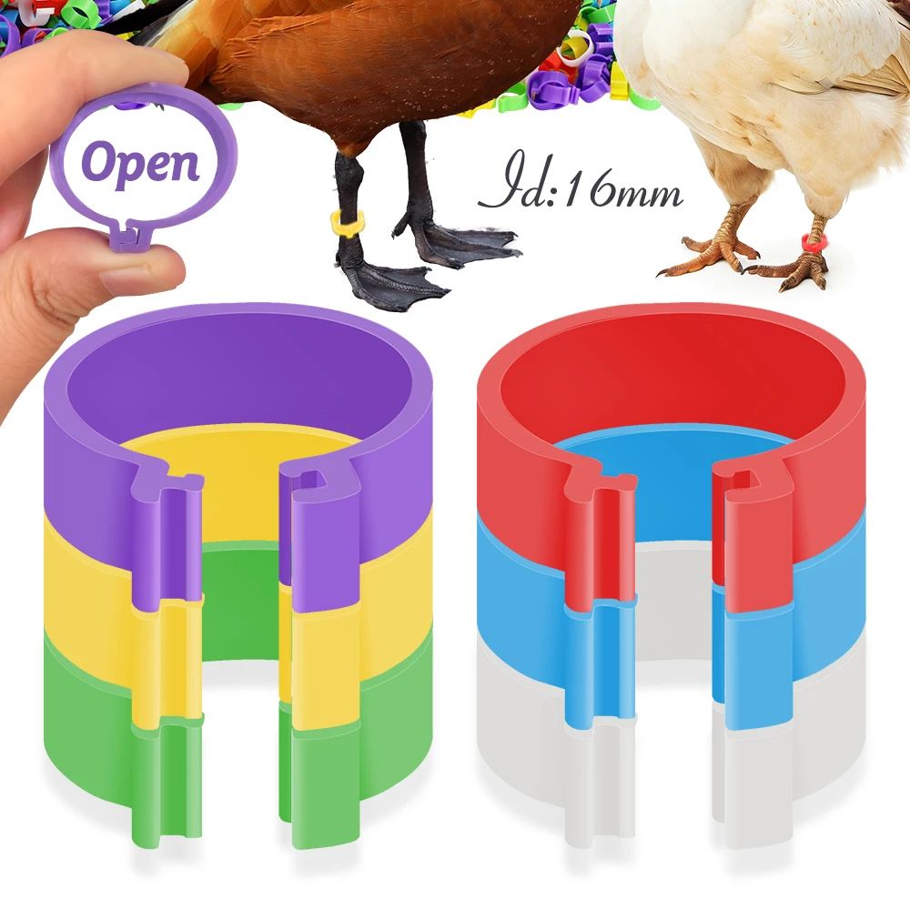 50pc 16mm Poultry Clasp Foot Ring Without Text Colourful Chicken Clip ...