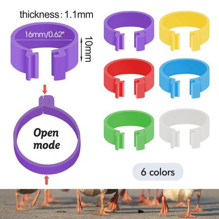 https://img.crazysales.com.au/products_pictures/325/325038_2834760_F.jpg