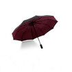 Portable Travel Umbrella, Umbrellas for Rain Windproof, Strong Compact Umbrella for Wind and Rain, Perfect Car Umbrella, Golf Umbrella (Wine Red)