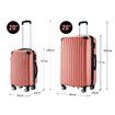 2Pcs Luggage Set Carry On Suitcases Travel Case Cabin Hard Shell Travelling Bags Hand Baggage Lightweight Rose Gold