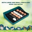 25 Eggs Incubator Chicken Hatcher Turning for Quail Duck Poultry Bird Hatching Automatic Humidity Control Candler