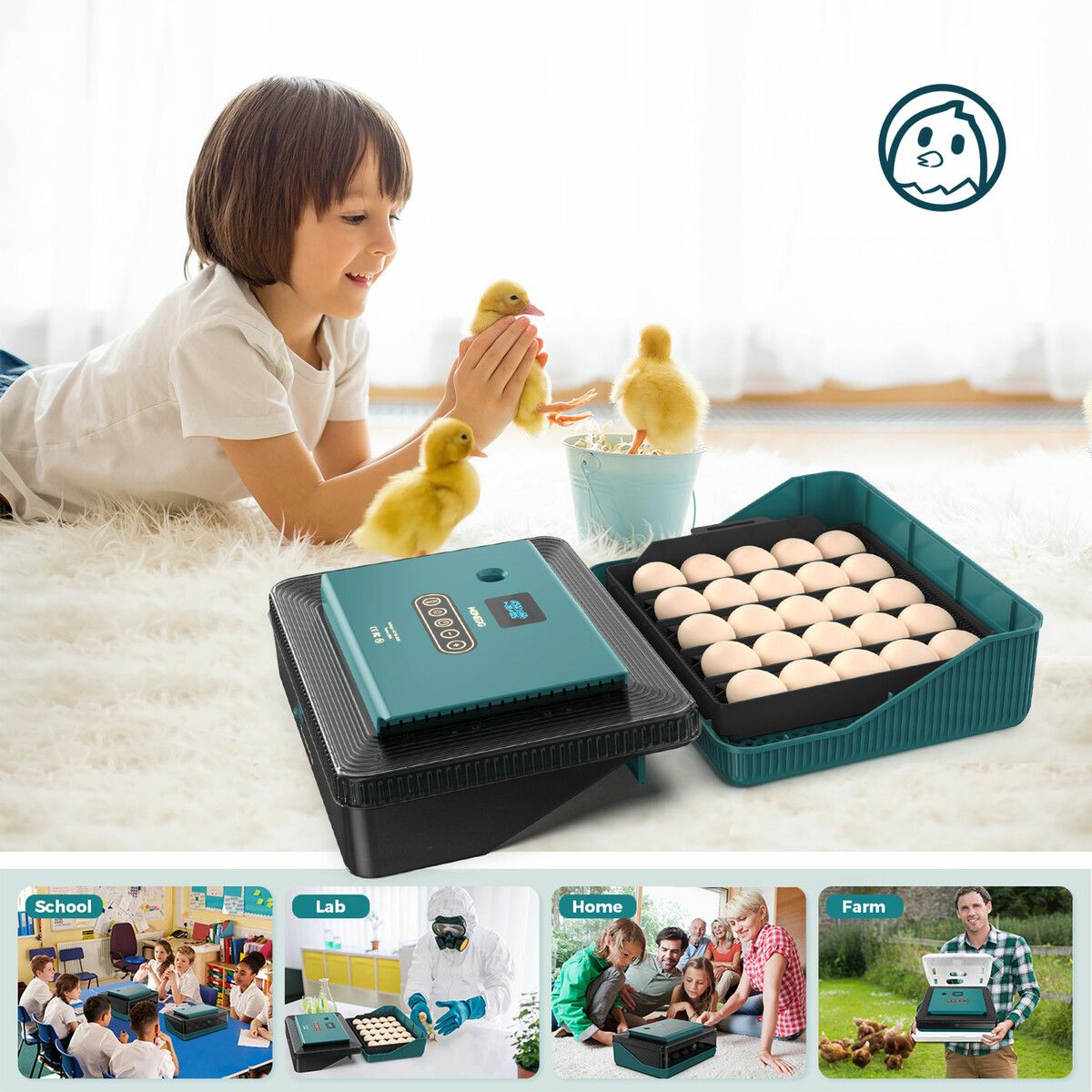 https://img.crazysales.com.au/products_pictures/325/325983_2845333_F.jpg