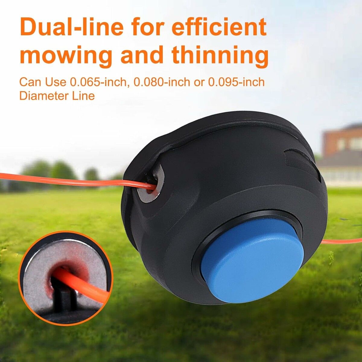https://img.crazysales.com.au/products_pictures/326/326121_2845354_F.jpg