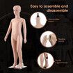 Child Mannequin 110cm Dress Form Display Showcase Clothing Model Manikin Dressmaking Dummy Adjustable