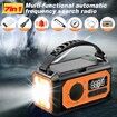 Emergency Radio, Hand Crank Radio, Portable Solar Radio AM/FM/NOAA Weather Radio with 2 Solar Panels (Orange)