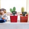 100 Pcs 6 x10cm Plastic Plant T-Type Tags Nursery Garden Labels (Black)