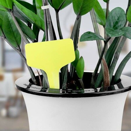 https://img.crazysales.com.au/products_pictures/327/327163_2854756_F.jpg