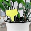 100 Pcs 6 x10cm Plastic Plant T-Type Tags Nursery Garden Labels (Yellow)