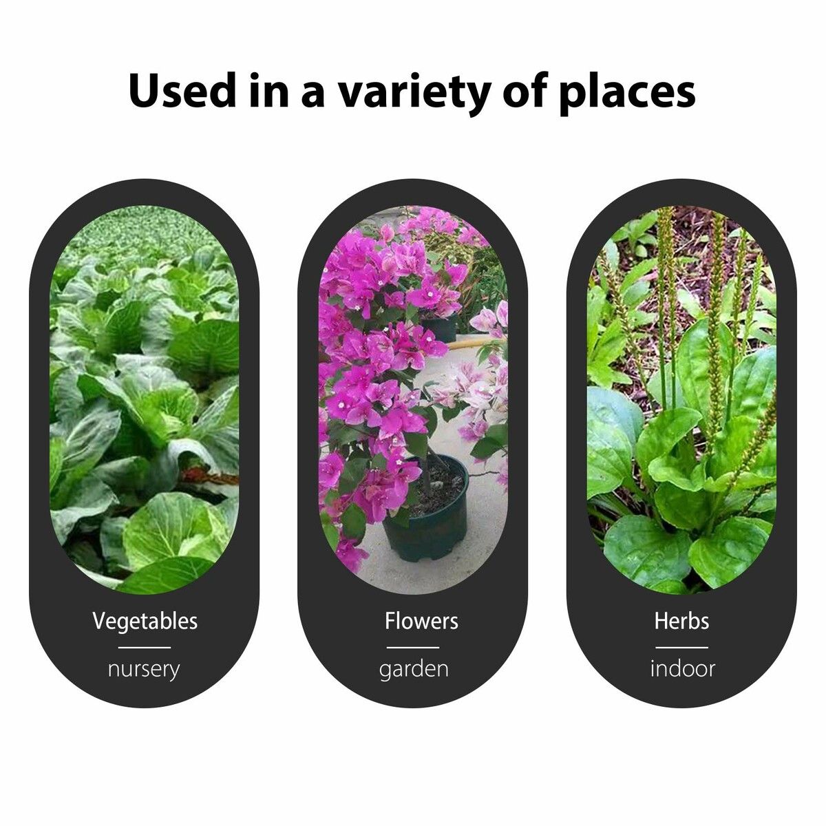 https://img.crazysales.com.au/products_pictures/327/327163_2854757_F.jpg
