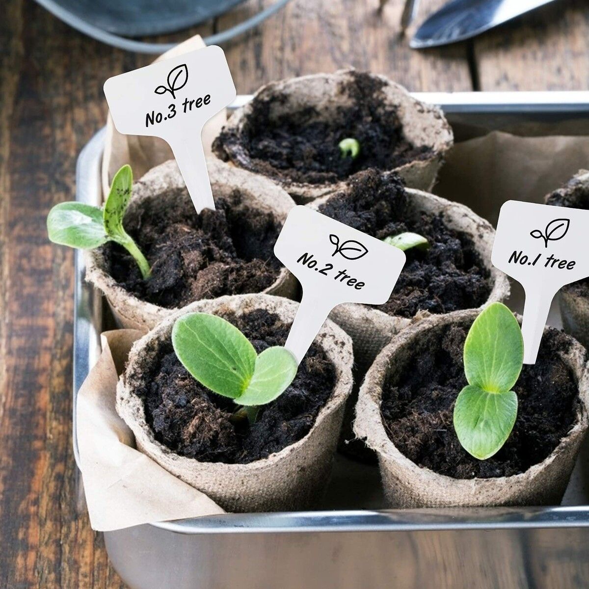 https://img.crazysales.com.au/products_pictures/327/327167_2854788_F.jpg