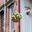 6 Pack 16 Inch Hanging Basket Coco Liners Replacement,100% Natural Round Coconut Coco Fiber Planter Basket Liners for Hanging Basket Flowers/Vegetables