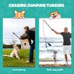 Dog Cat Toy Pet Play Interactive Flirt Pole Wand Retractable Training Exercise Tug Equipment Durable Teaser Chase Stick