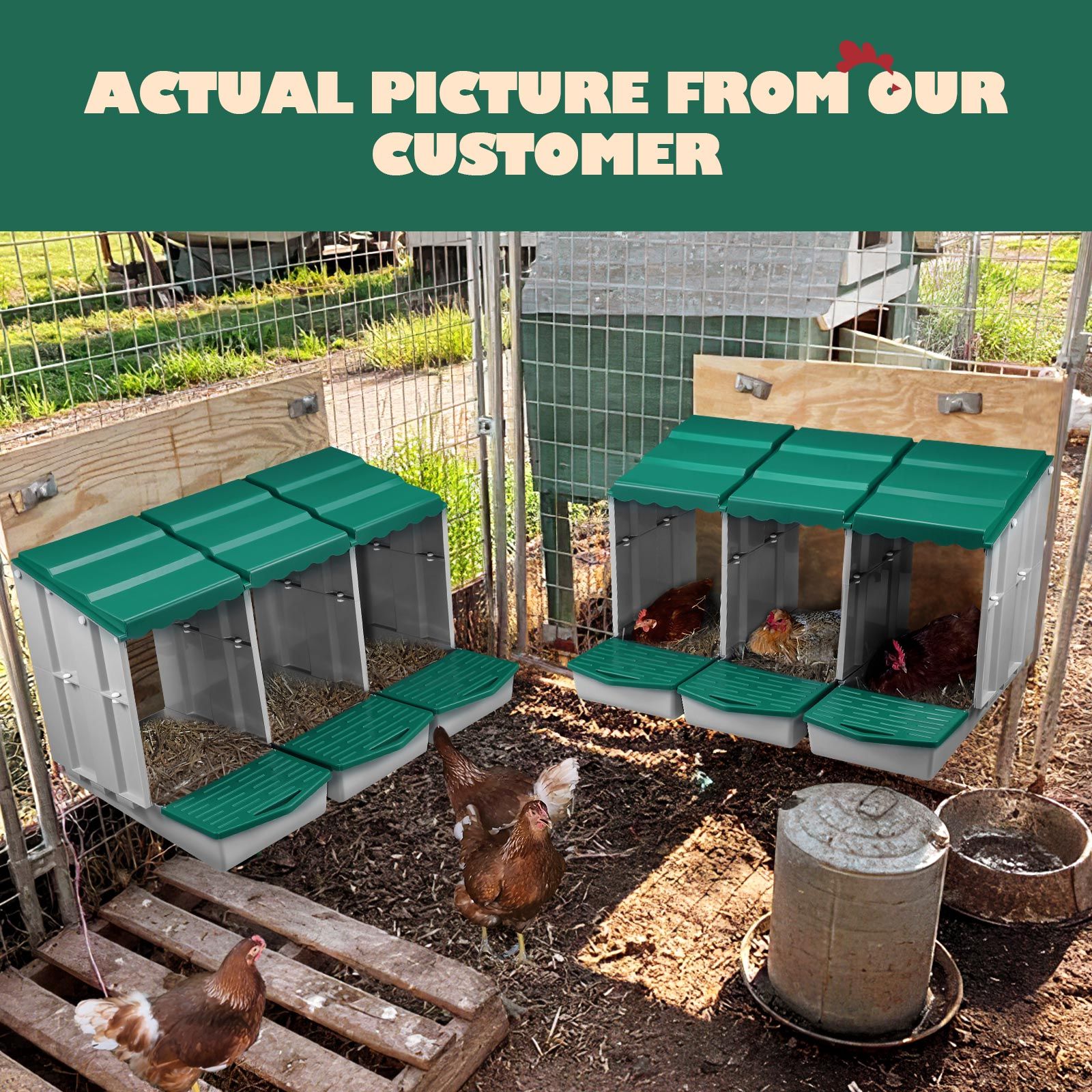 3 Hole Chicken Nesting Box Chook Hen Roll Away Laying Boxes Poultry Modular House Egg Coop Nest Perch Plastic