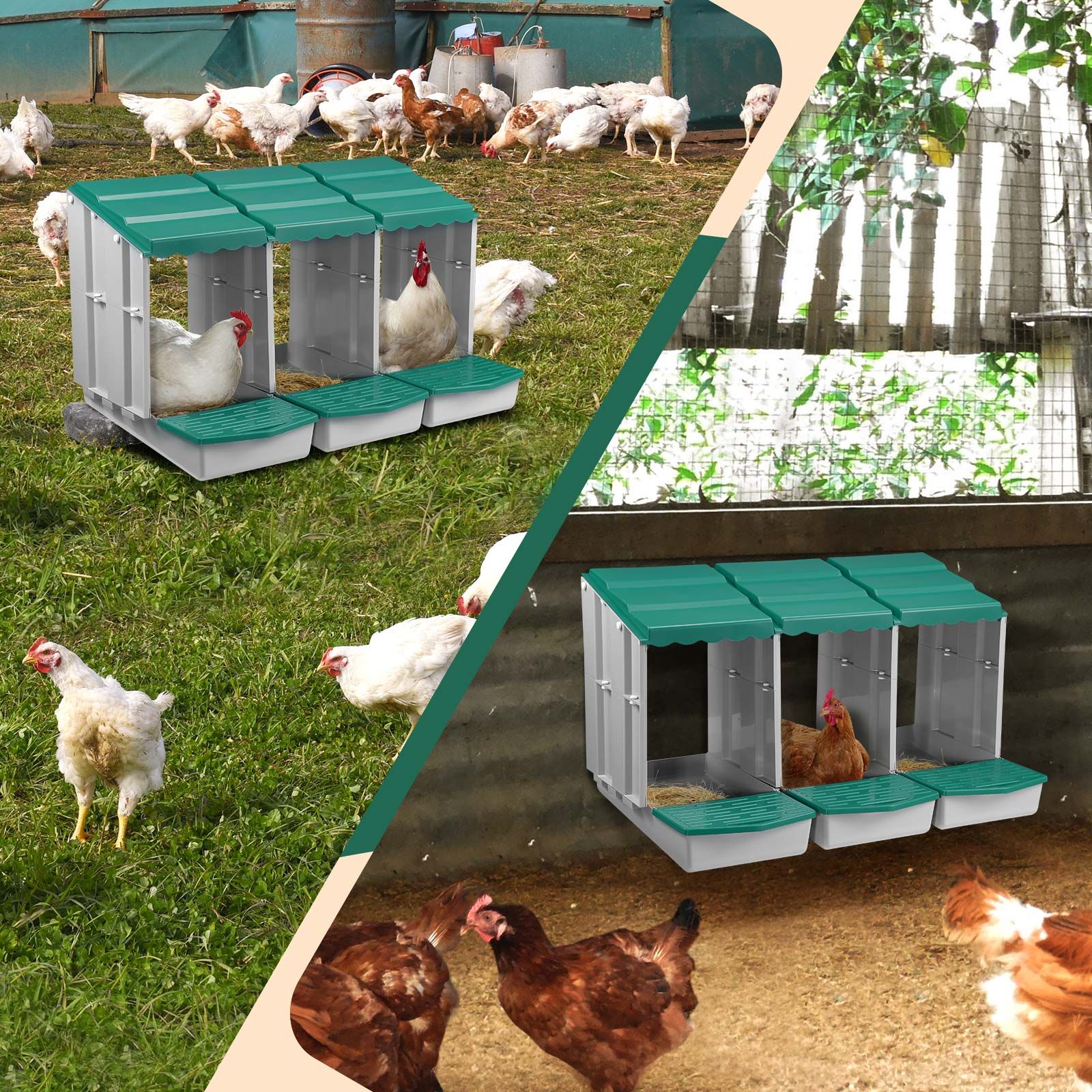 3 Hole Chicken Nesting Box Chook Hen Roll Away Laying Boxes Poultry Modular House Egg Coop Nest Perch Plastic