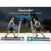 BLACK LORD Treadmill Electric Walking Pad Home Office Incline Foldable White