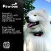 Dog Fence GPS Wireless Signal Boost AI Scene Recognition Waterproof Radius 33-1000 Yards Medium Large Dogs Puppy Training