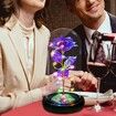 Rose Gifts for Mom from Daughter, Mom Gifts for Her, Colorful Red Light Up Rose in A Glass Dome with Colorful Light,Graduation Gifts for Girl Anniversary Purple