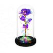 Rose Gifts for Mom from Daughter, Mom Gifts for Her, Colorful Red Light Up Rose in A Glass Dome with Colorful Light,Graduation Gifts for Girl Anniversary Purple